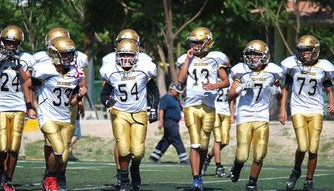 开云体育app官网下载地址-埃及队在2024年混合团体世界杯中的团队协作，埃及参加过几次世界杯