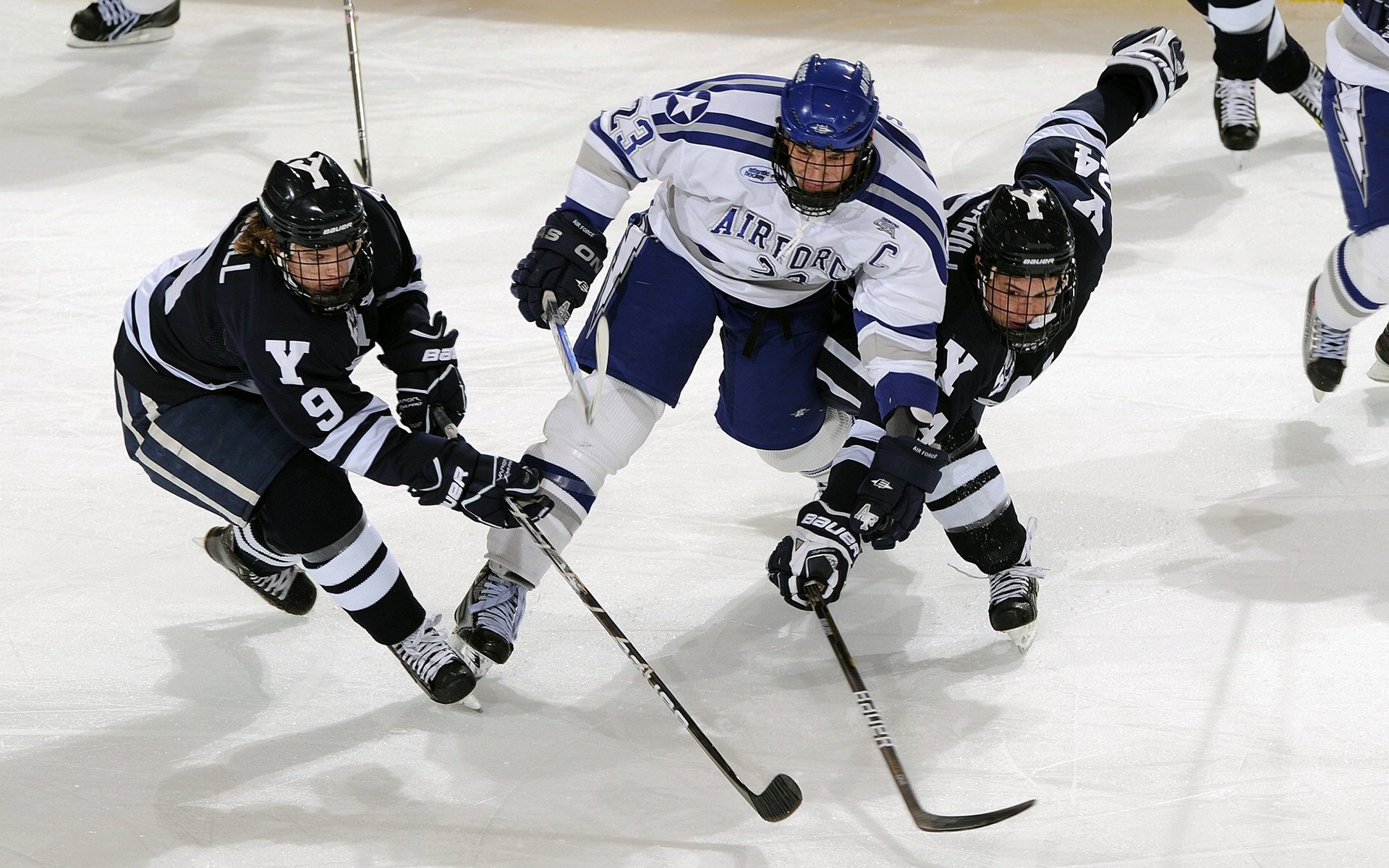 “新加坡见证泳池奇迹！2025世界游泳锦标赛极限挑战开启”